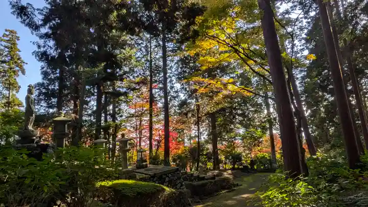 青蓮院宮墓地(京都府)