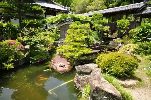 延光寺の庭園