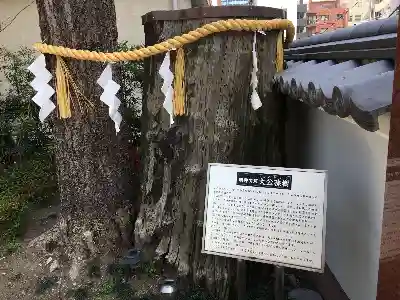 神田神社（神田明神）の自然