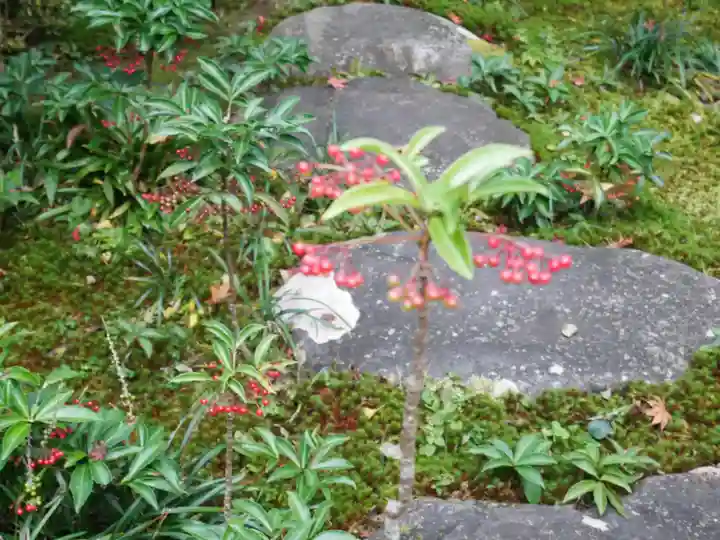 蓮華寺(洛北蓮華寺)(京都府)
