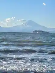 鶴岡八幡宮の景色