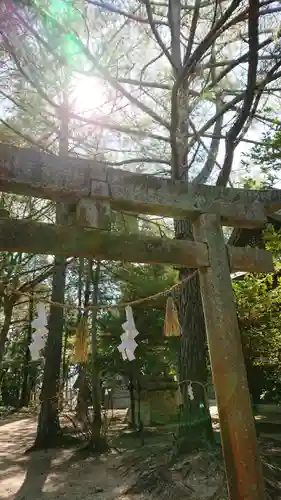 窪八幡宮の鳥居