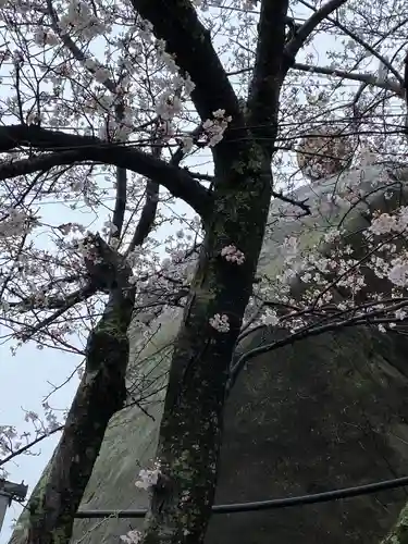 千光寺(広島県)