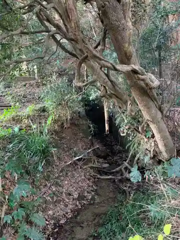 浅間神社(千葉県)