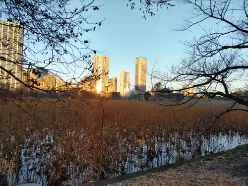 寛永寺不忍池弁天堂の庭園