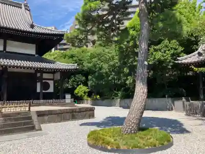 瑞聖寺(東京都)