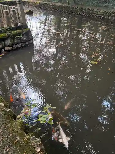 伊和神社(兵庫県)
