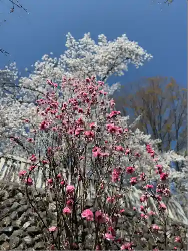 成田山名古屋別院大聖寺(犬山成田山)(愛知県)