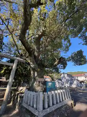 熊野三所大神社（浜の宮王子）(和歌山県)