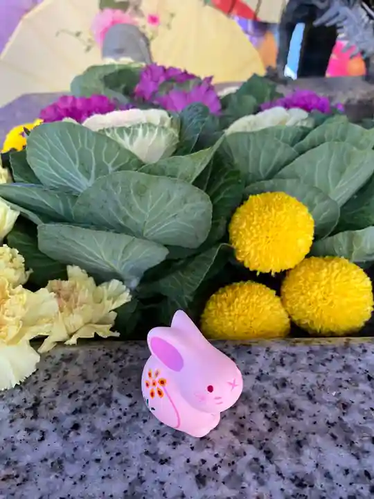 札幌諏訪神社の手水舎