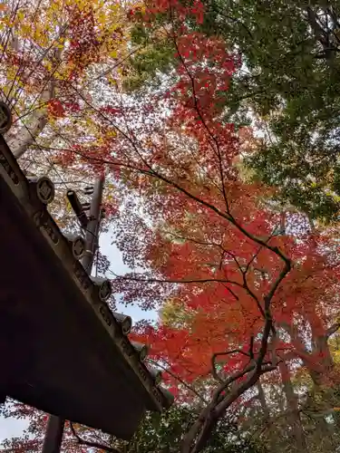 妙法寺(東京都)