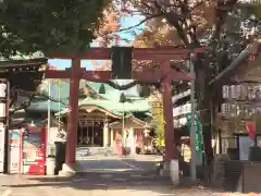 須賀神社の鳥居