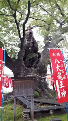 秩父今宮神社(埼玉県)