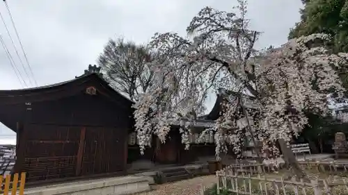 縣神社の自然