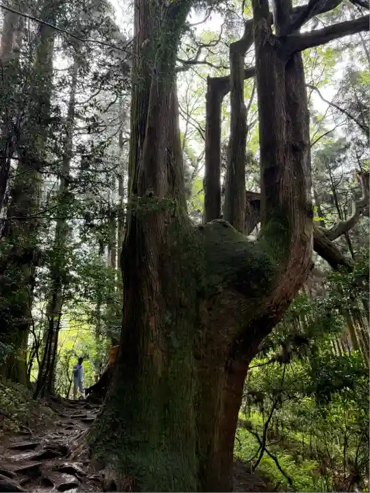 幣立神宮(熊本県)