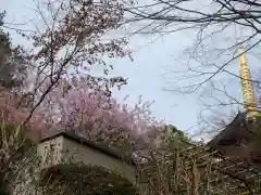 高幡不動尊　金剛寺(東京都)