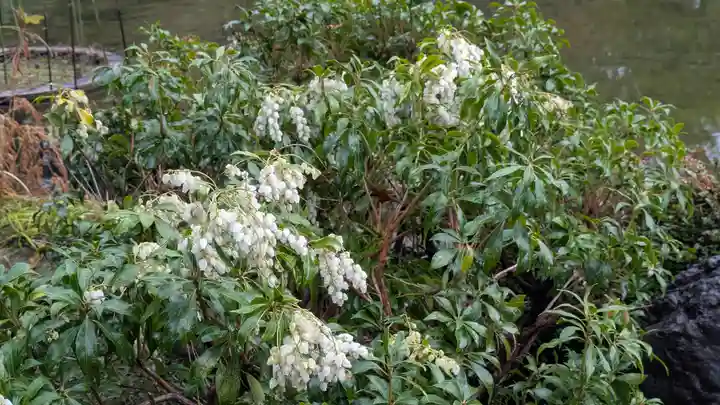 城南宮(京都府)