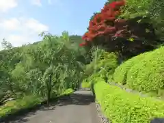 善峯寺の建物その他