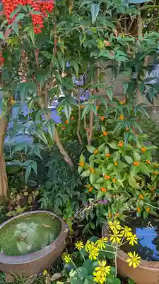 西雲院(京都府)