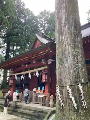 富士山東口本宮 冨士浅間神社の本殿・本堂