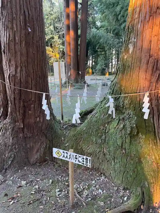 大神神社の自然