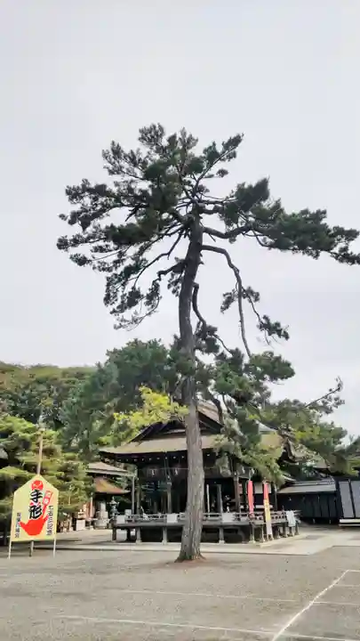 長浜八幡宮(滋賀県)