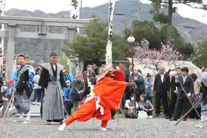 宇波西神社(福井県)(2025年04月16日(水) 02時40分26秒投稿)