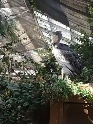 一宮神社(兵庫県)