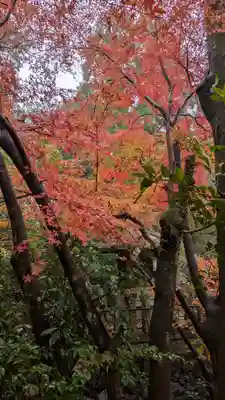 宝積寺(京都府)