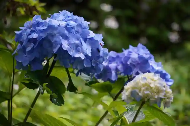 尻岸内八幡神社の景色