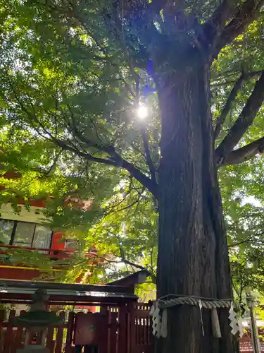 秩父神社(埼玉県)