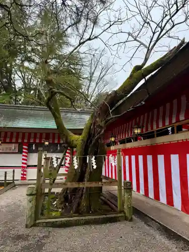 笠間稲荷神社の{uncategorized: "未分類", other: "その他", undefined: "問題あり", building: "その他建物", grave: "お墓", sacred_gate: "鳥居", guardian: "狛犬", statue: "像", buddha: "仏像", history: "歴史", nature: "自然", garden: "庭園", animal: "動物", pagoda: "塔", temizu: "手水舎", mountain_gate: "山門・神門", sanctuary: "本殿・本堂", subordinate: "末社・摂社", art: "芸術", scenery: "景色", jizo: "地蔵", ema: "絵馬", goshuin: "御朱印", omikuji: "おみくじ", items: "授与品その他", amulet: "お守り", goshuincho: "御朱印帳", eats: "食事", festival: "お祭り", votive_dance: "神楽", shichigosan: "七五三参", wedding: "結婚式", experience: "体験その他", initially: "初詣", around: "周辺", anti_infection: "感染症対策"}