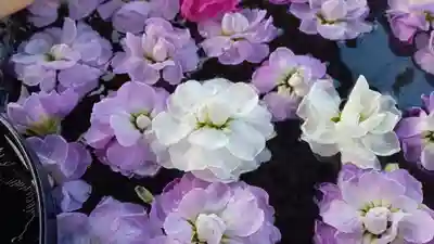 阿邪訶根神社(福島県)
