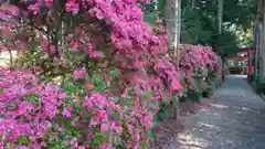 安住神社の建物その他