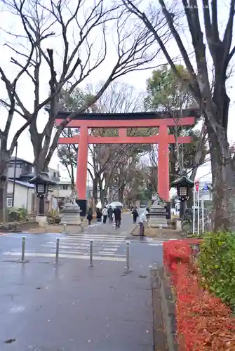 武蔵一宮氷川神社(埼玉県)