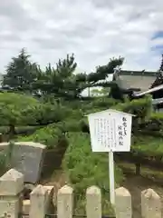 尾上神社(兵庫県)