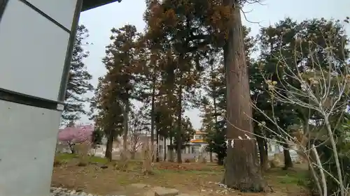 大野神社(埼玉県)