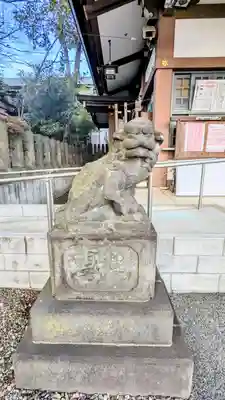 北澤八幡神社の狛犬