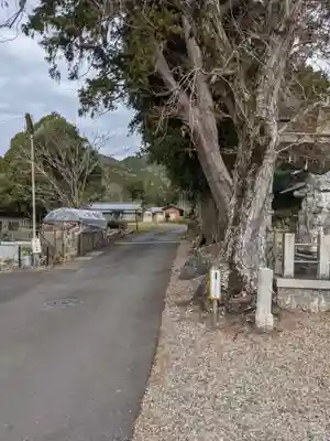 八幡神社（武芸八幡宮）の周辺