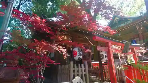 馬橋稲荷神社の末社・摂社