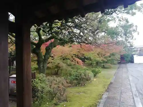 承天寺の庭園