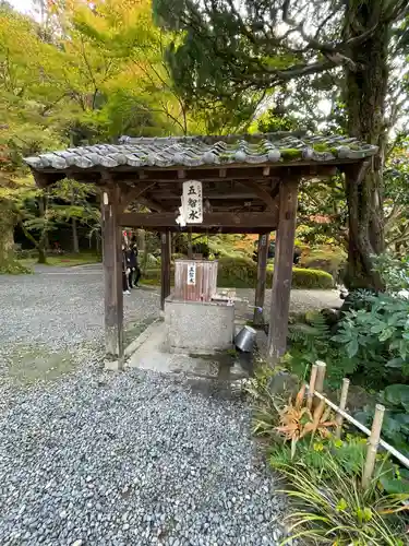 今熊野観音寺のその他建物