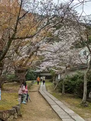 勝持寺（花の寺）(京都府)