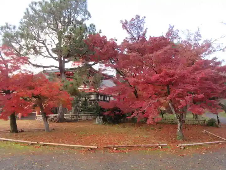 大覚寺(京都府)