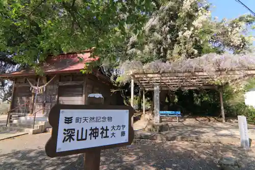 深山神社の庭園