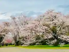 女化神社の自然