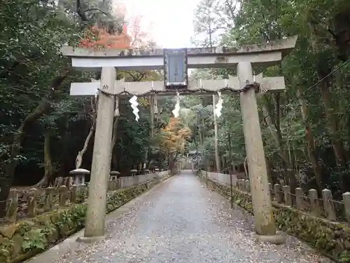 崇道神社の鳥居