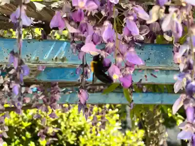 天満宮中之社（廃神社・石碑あり）(大阪府)