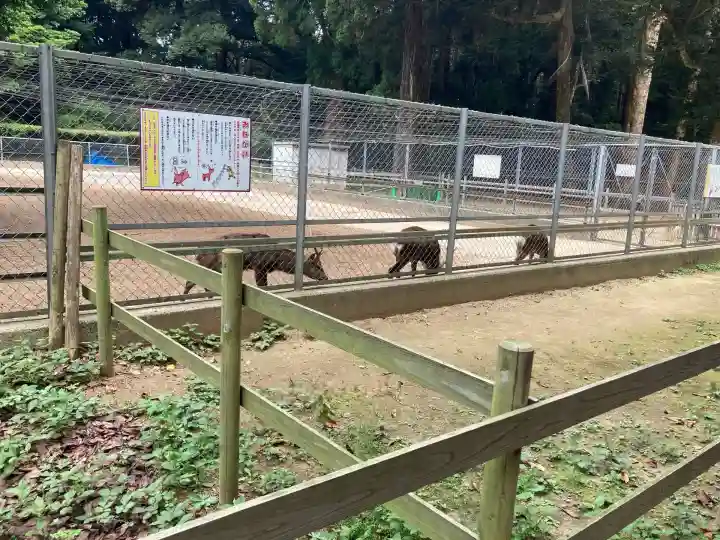 鹿島神宮(茨城県)