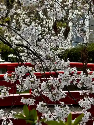 六孫王神社(京都府)
